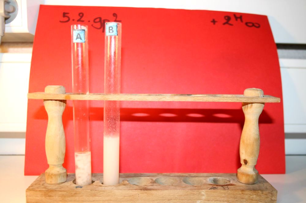 gal/LES_CINQUIEMES/ACTIVITE DIGESTION IN VITRO/Groupe_02/Groupe02_T_02h00min/Groupe02_temps02H00min_17.jpg